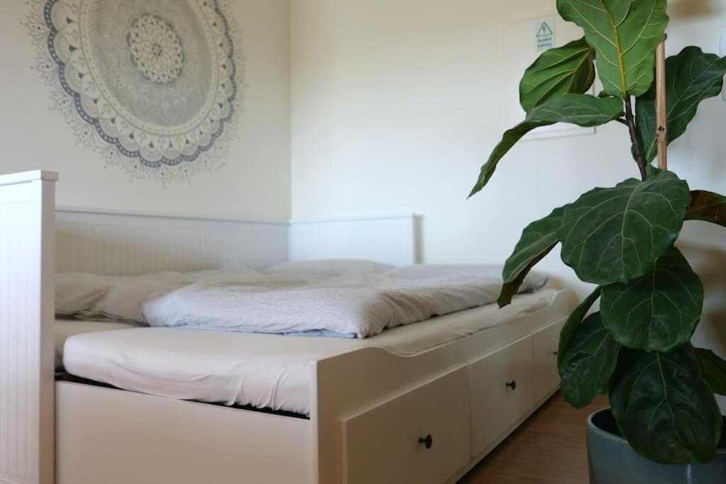 Panorama Apartment Sagres *Pool* Bagian luar foto