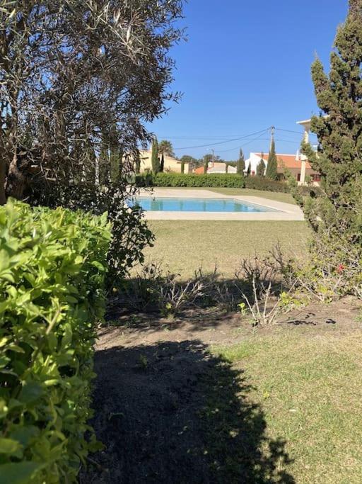 Panorama Apartment Sagres *Pool* Bagian luar foto